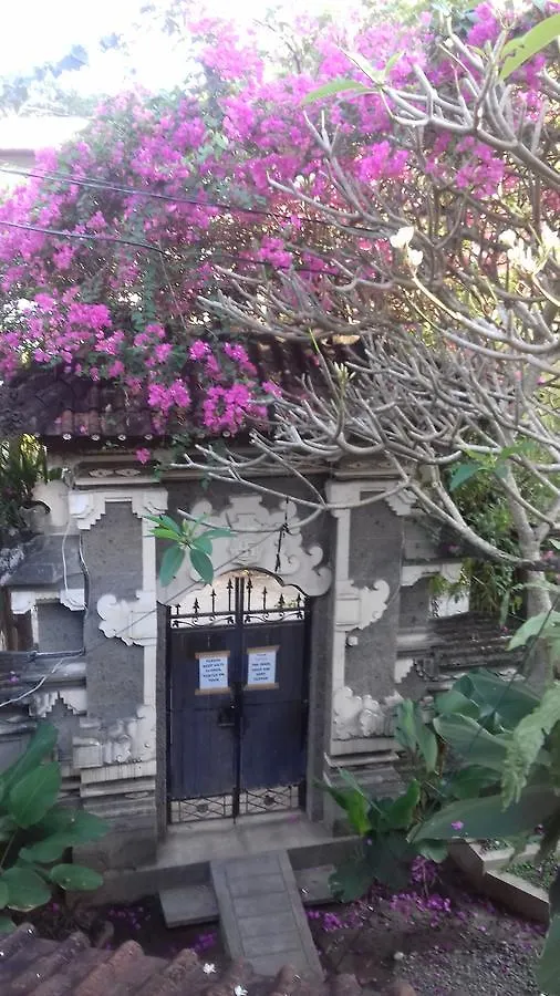 Shalana Homestay- Formerly Teka Teki House Seminyak  0*, Seminyak (Bali) Indonesia